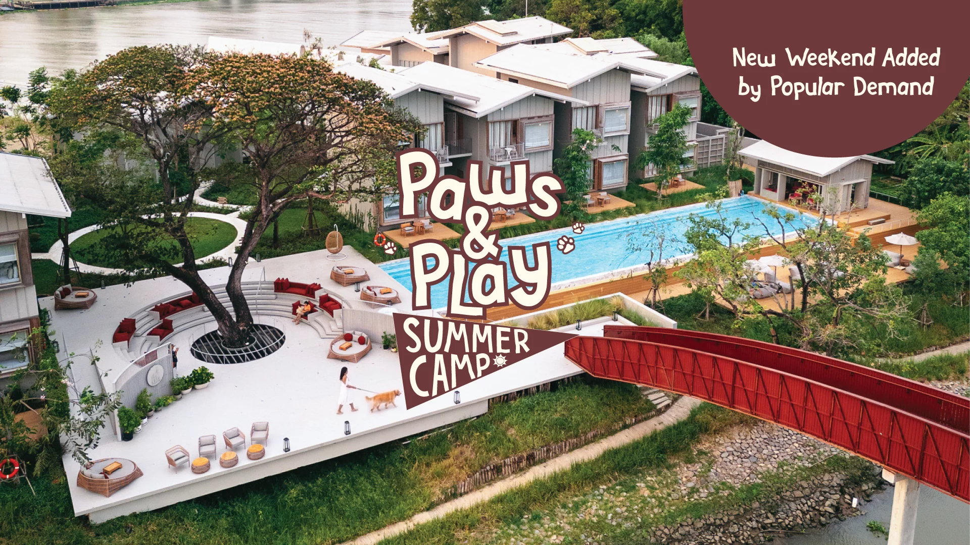 Paws & Play Dog Summer Camp